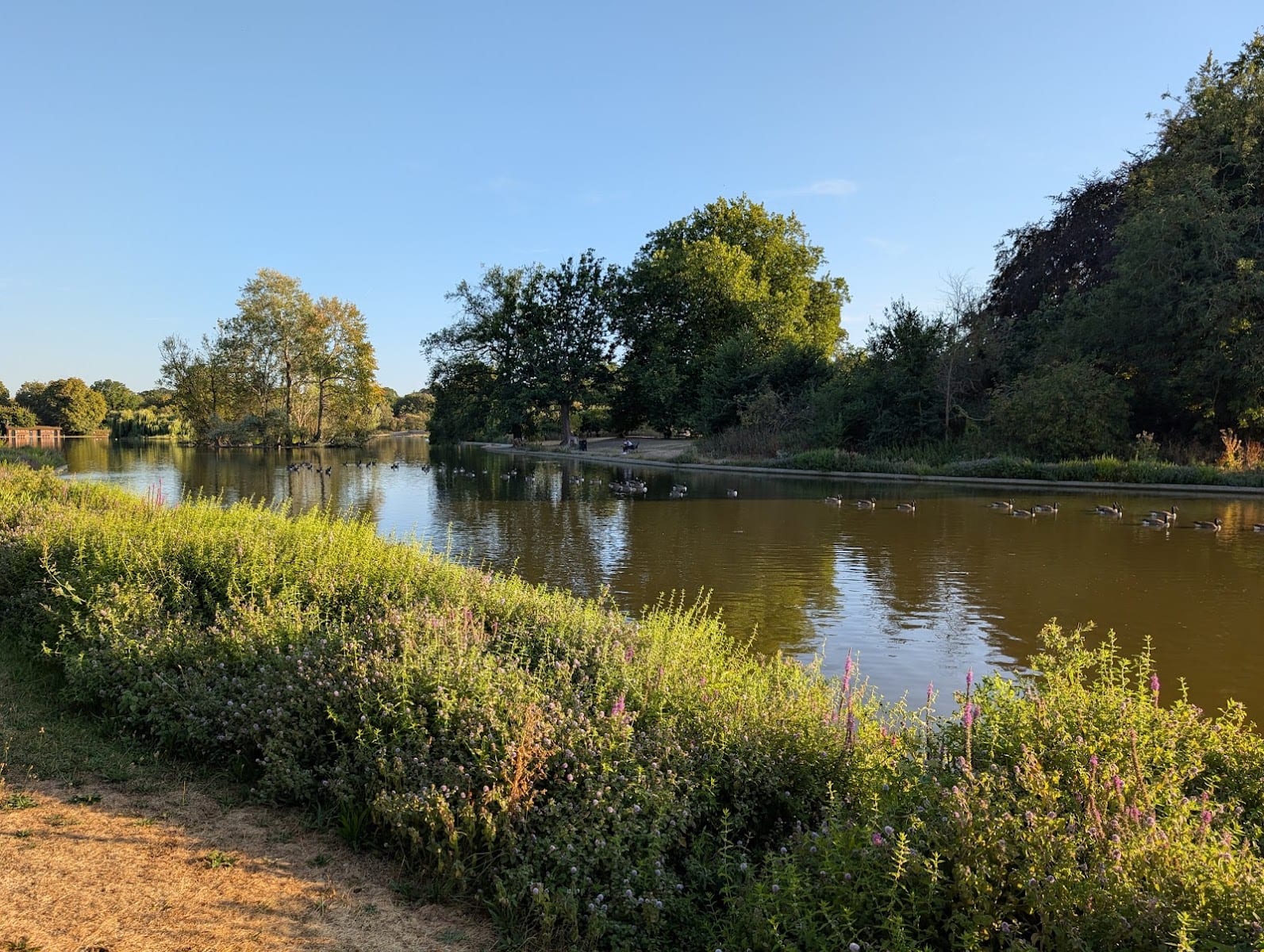 Model Boating Lake