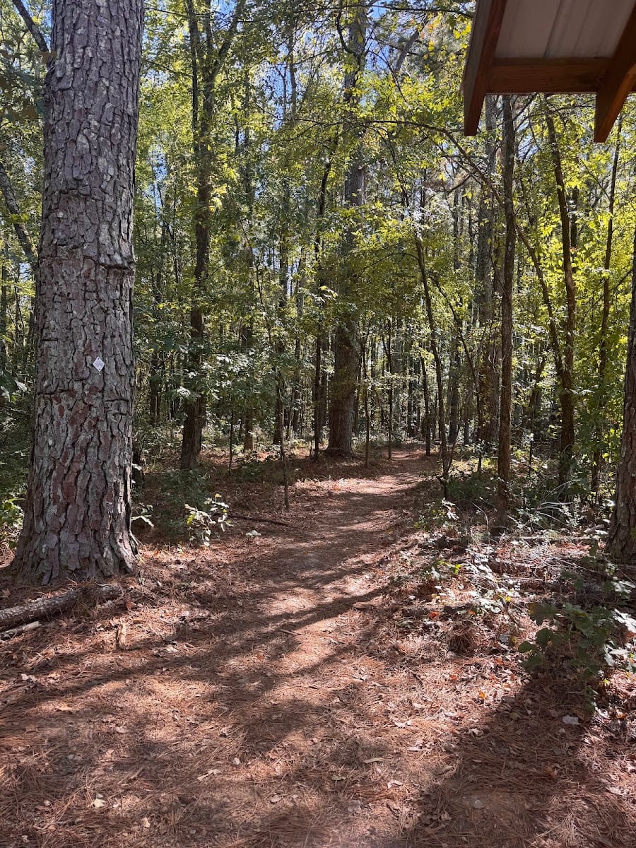 Balch Road Trailhead