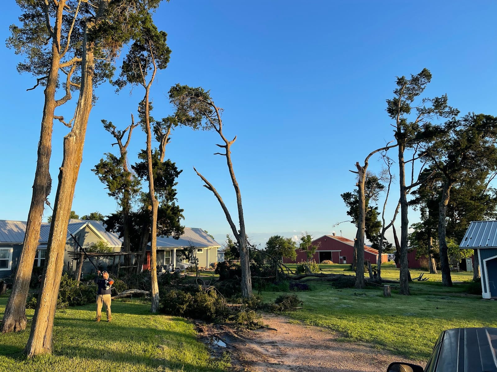 Diaz Brothers Landscaping & Tree Services, photo 2