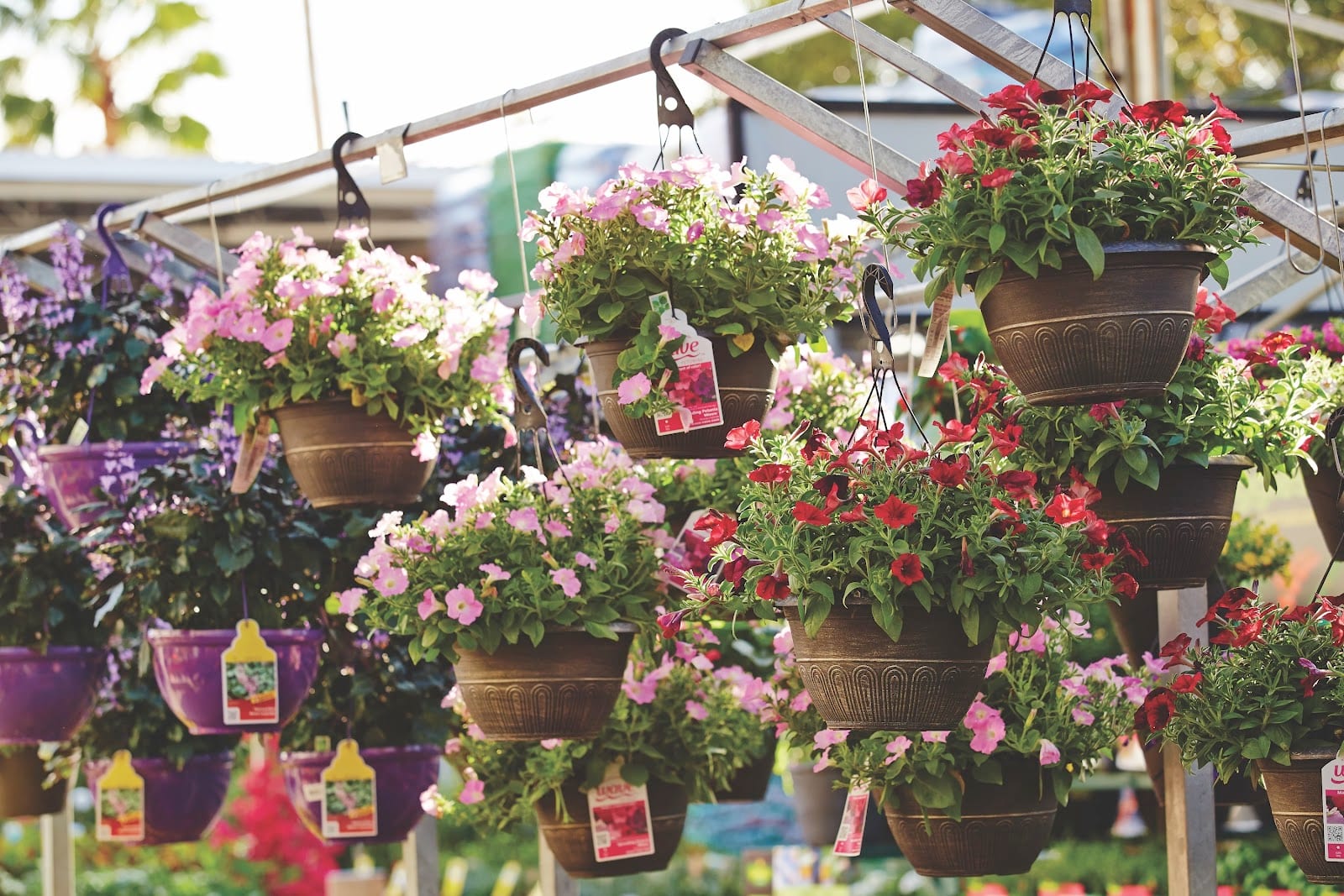 Garden Center at The Home Depot, photo 4