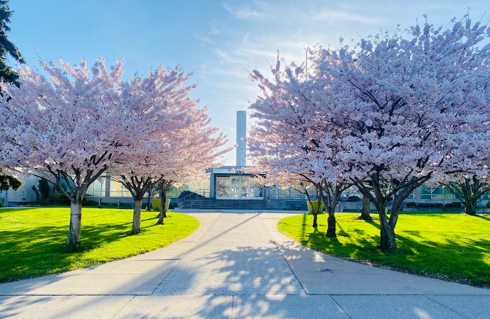Etobicoke Civic Centre Art Gallery, photo 4