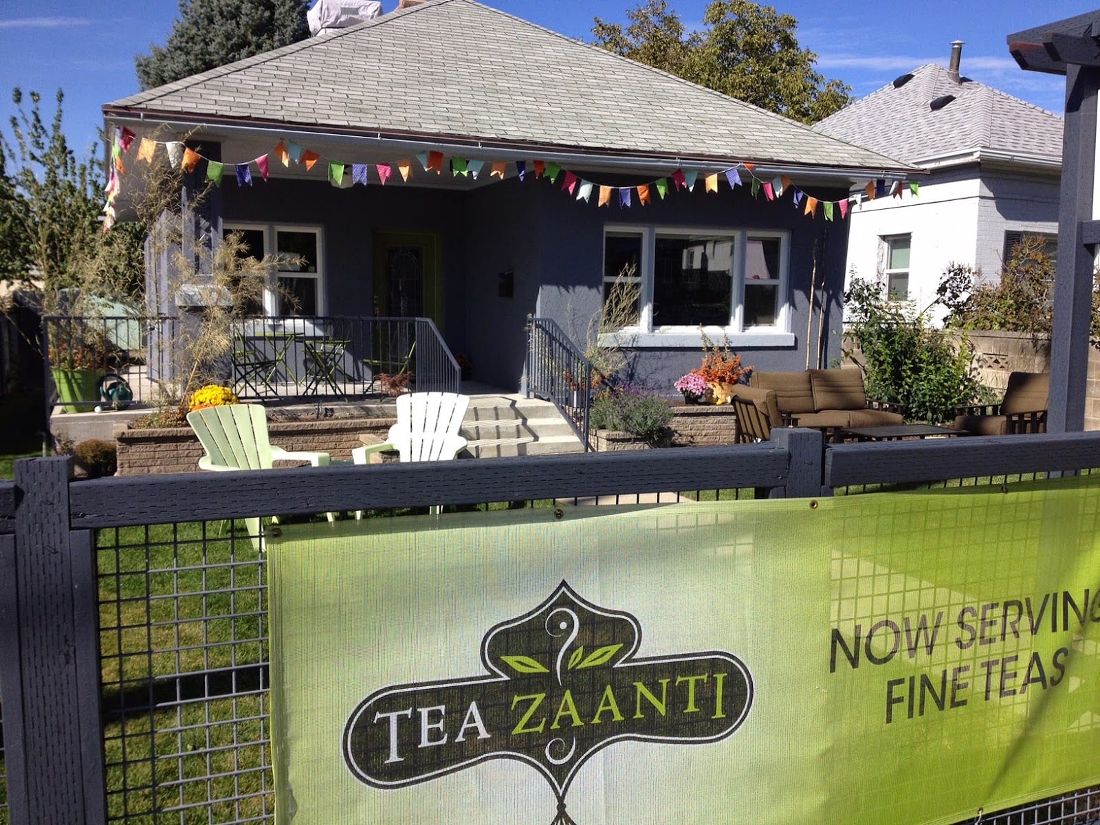 Tea Zaanti, photo 4