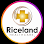 Riceland Clinic - Beaumont