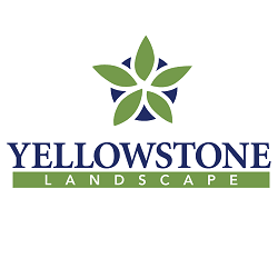 Yellowstone Landscape, photo 4