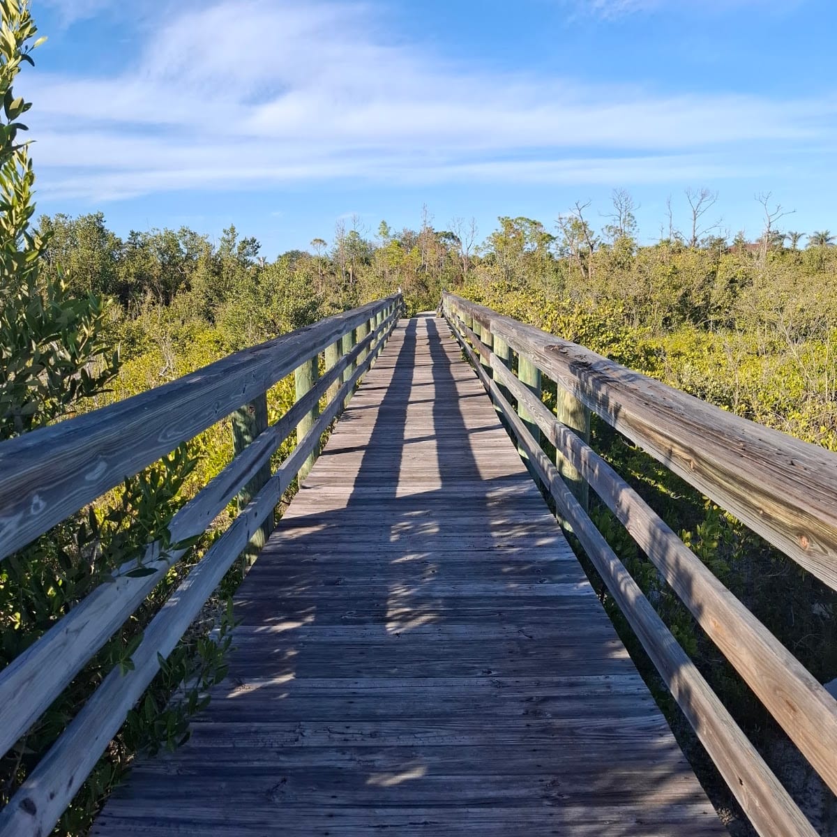 Punta Gorda Nature Park, photo 2