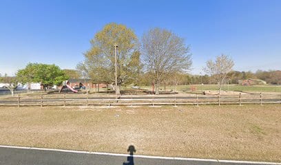 Cheddar Community Park and Walking Track