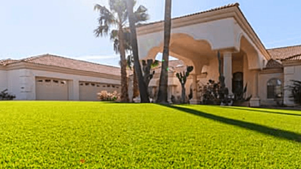 Turfli - Luxury Lawns and Greens LLC, photo 2