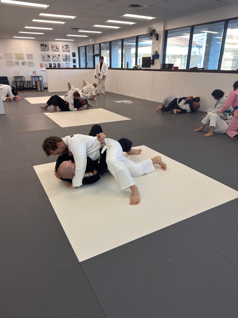 Six Blades Jiu Jitsu, photo 3