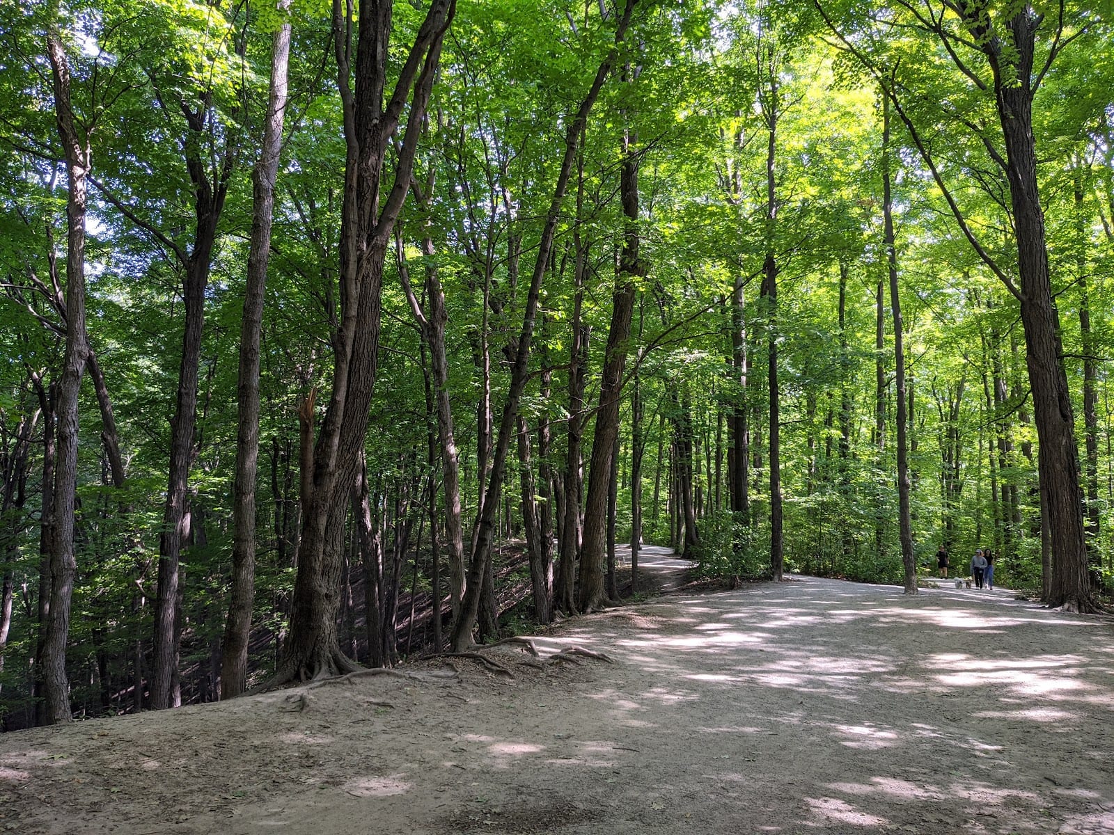 Franklin Park, photo 2
