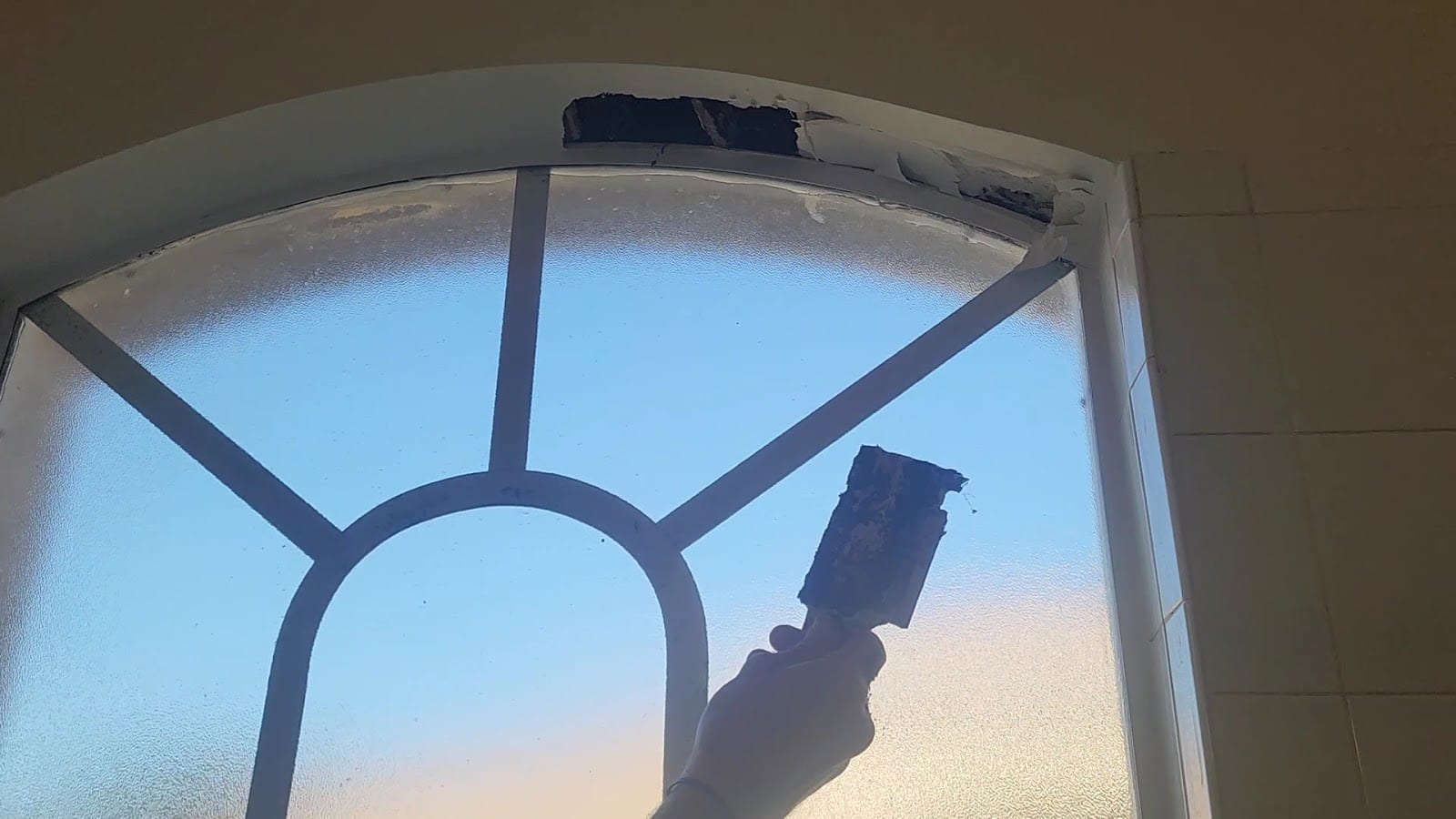 The Mold Guys, photo 3