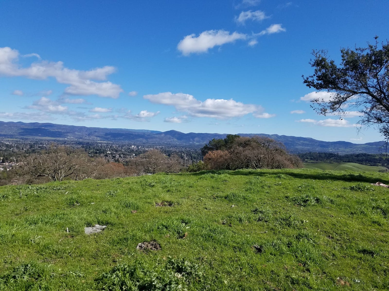 Timberhill Park