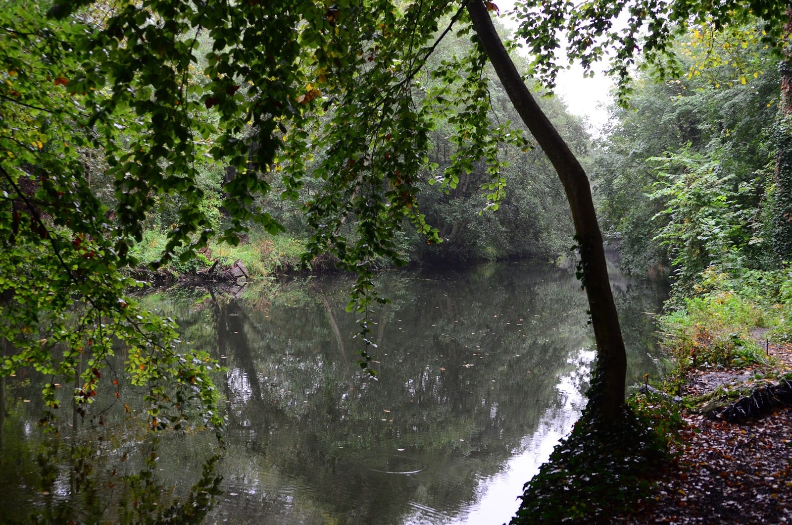 Woodlands Park