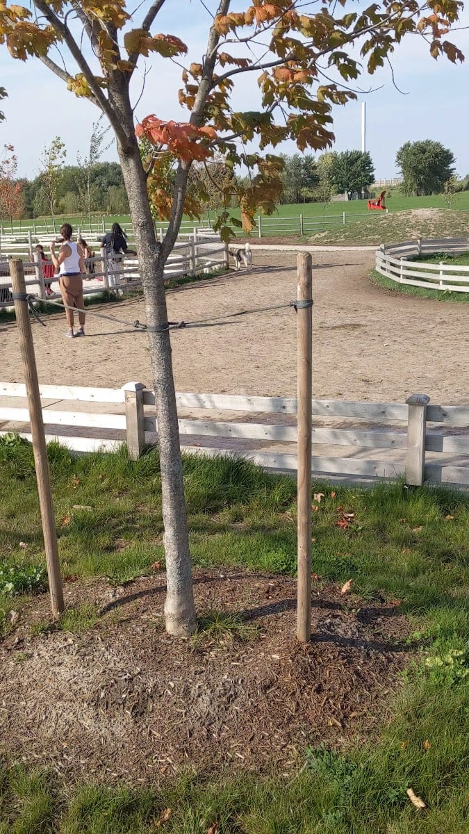 Dogsview Park (Dog Park), photo 3