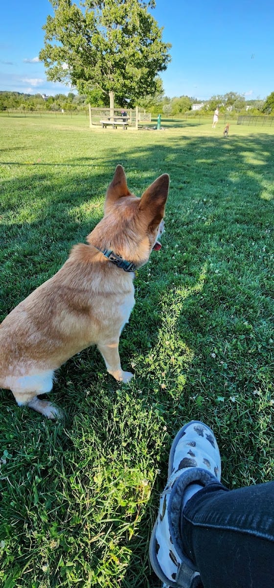 Doylestown Private Dog Park (members only), photo 2