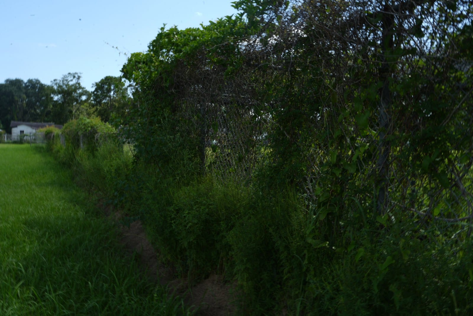 Harmon Park, photo 3