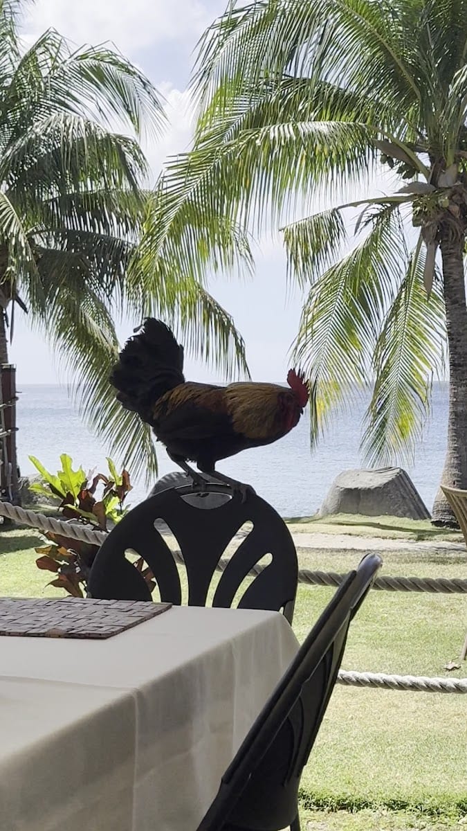 Summer Breeze Restaurant, photo 3