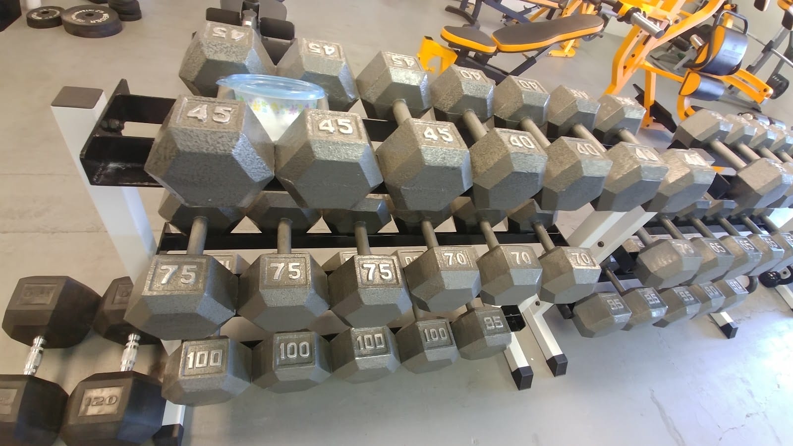 Olympia Gym LLC, photo 3