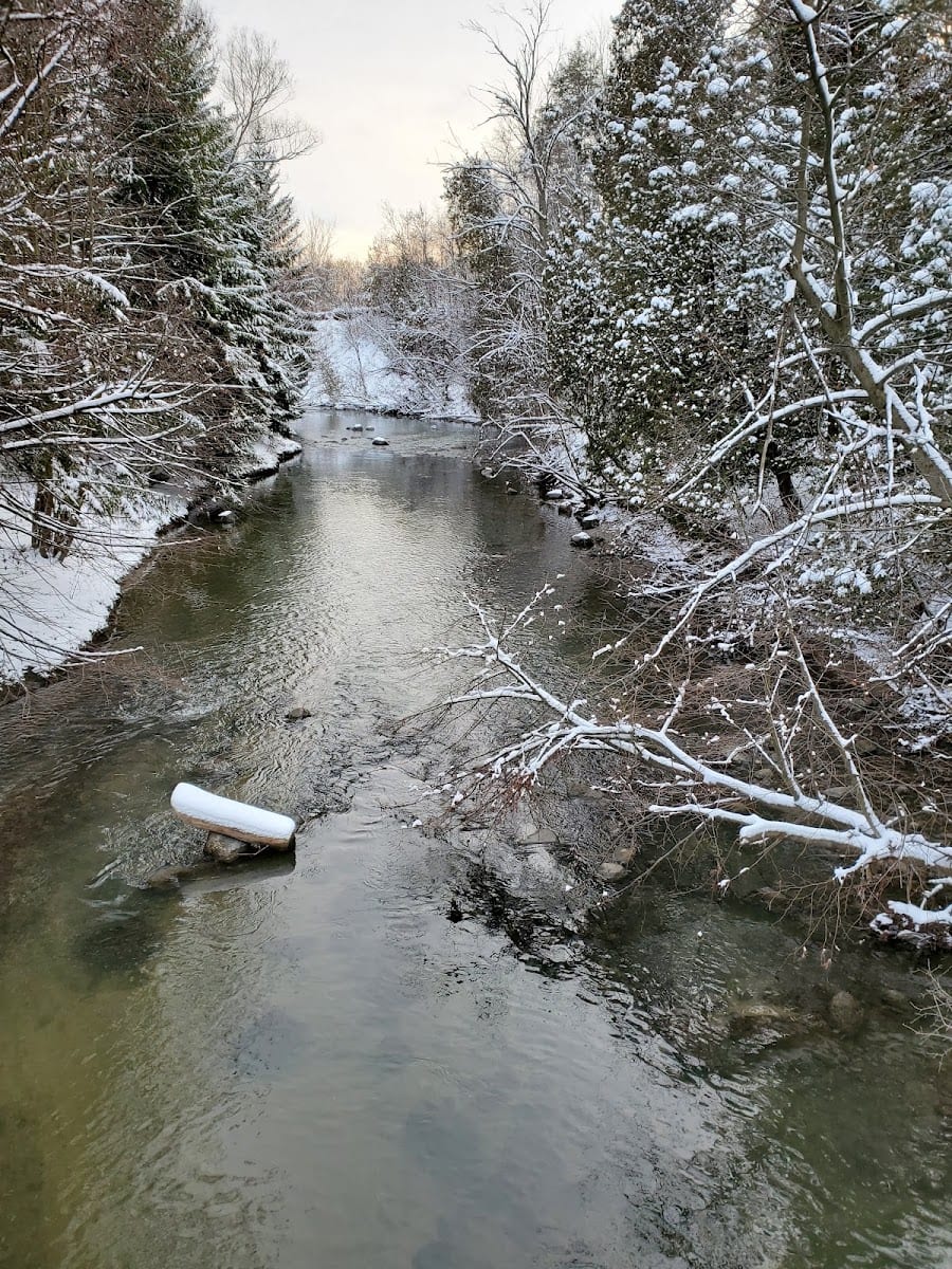 Charles Sauriol Park, photo 2