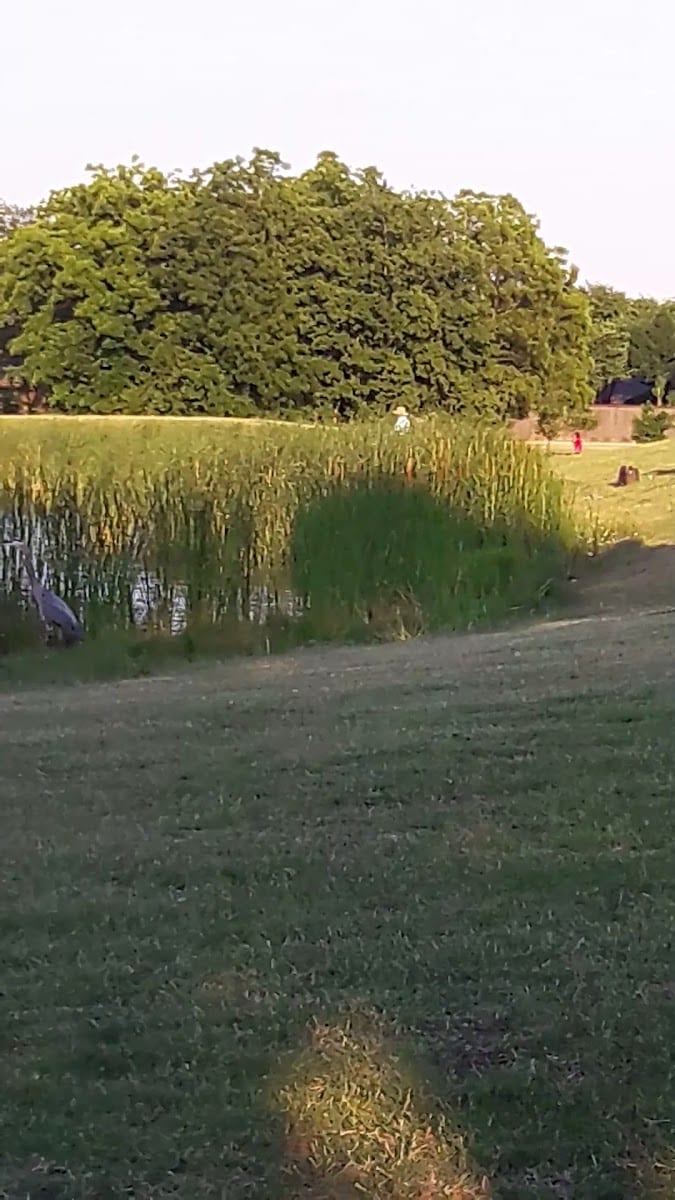 South Lakes Park, photo 3