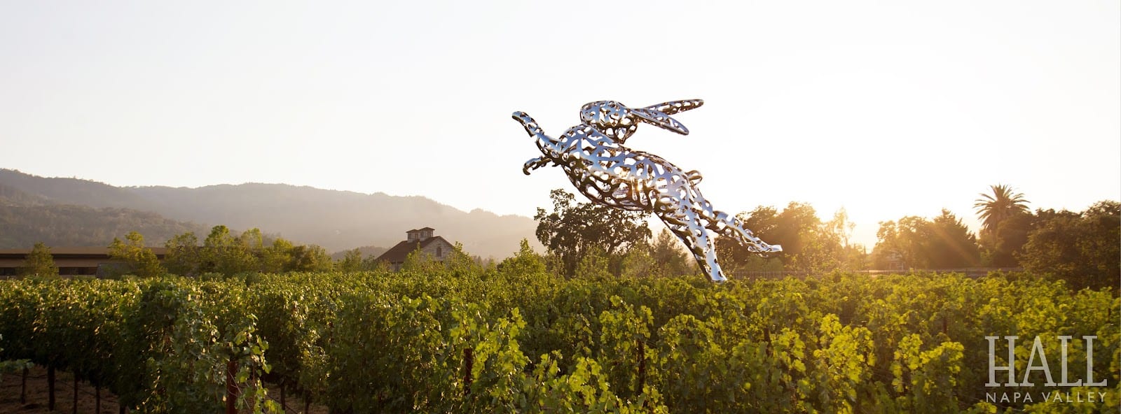 HALL Wines St. Helena, photo 2
