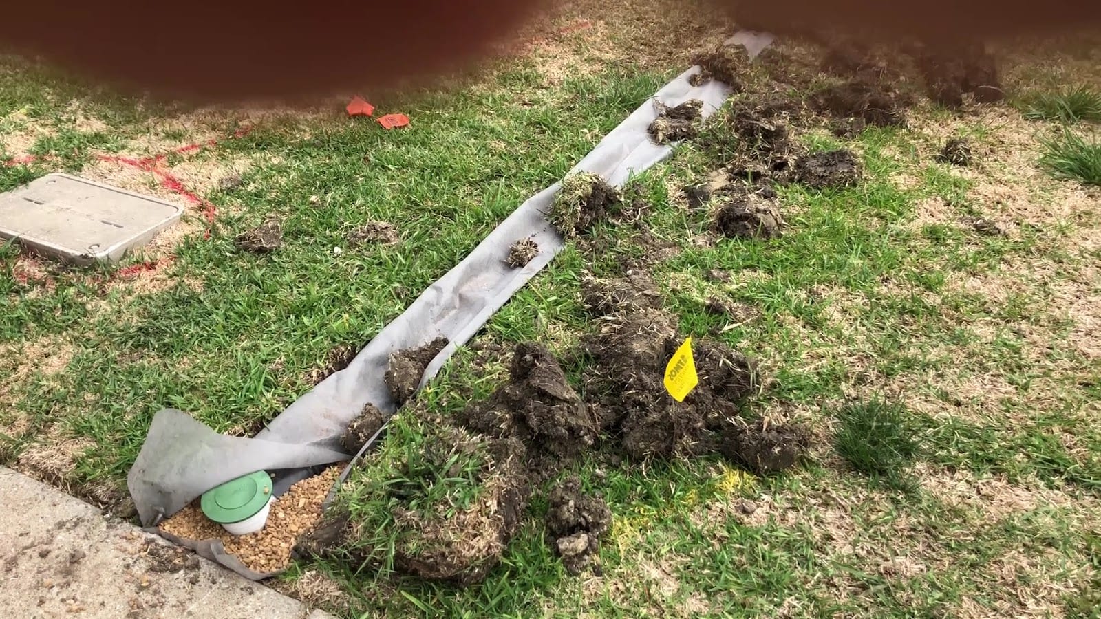 TLC The Landscape Company, LLC, photo 3