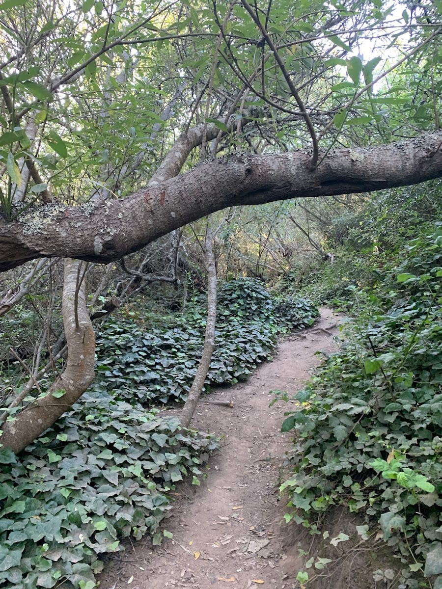 Glen Canyon Creeks to Peaks Trailhead