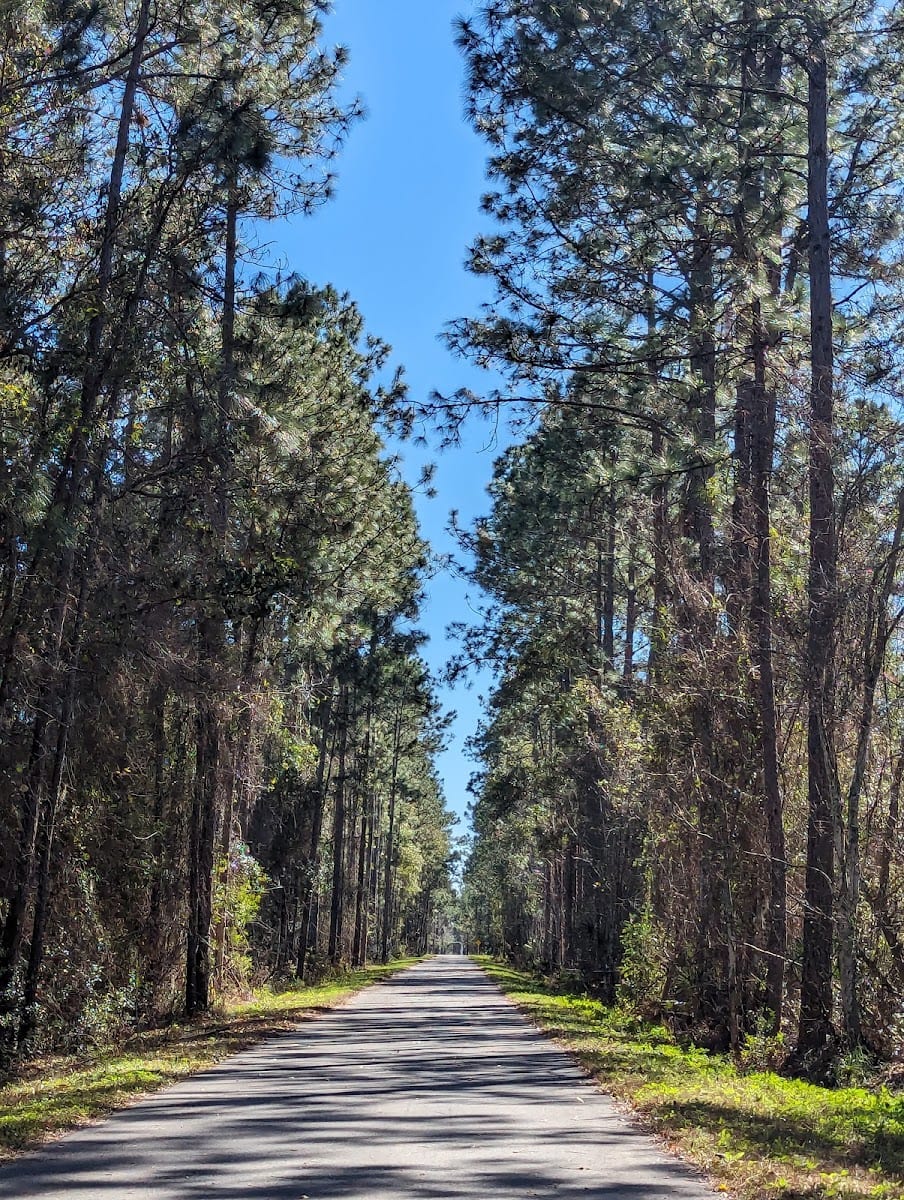 Keystone Heights Trailhead, photo 3