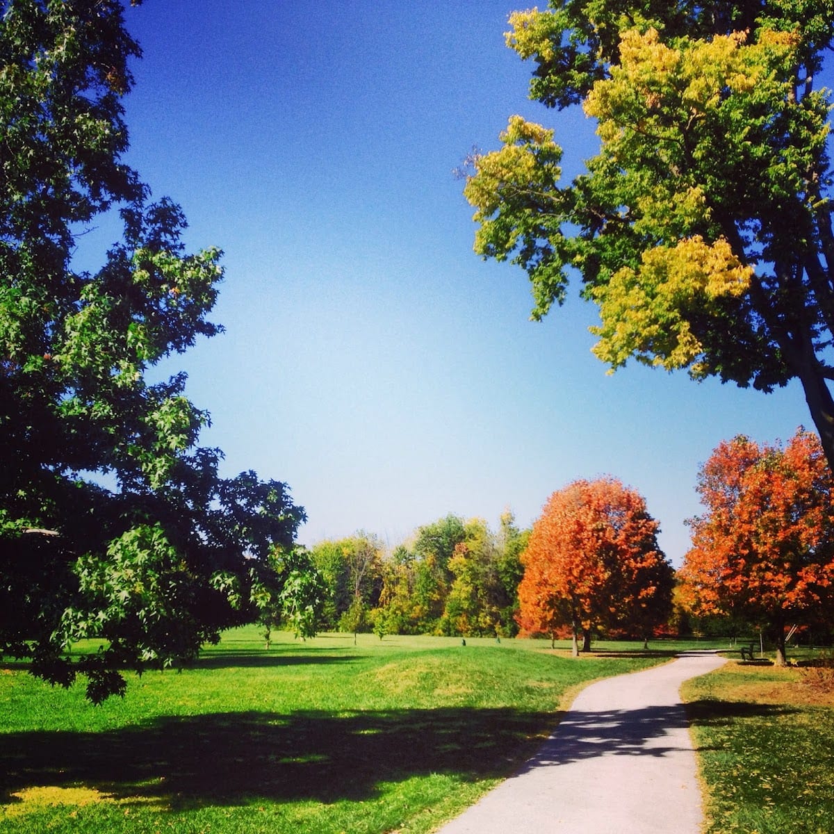 Foster Park Golf Course, photo 4