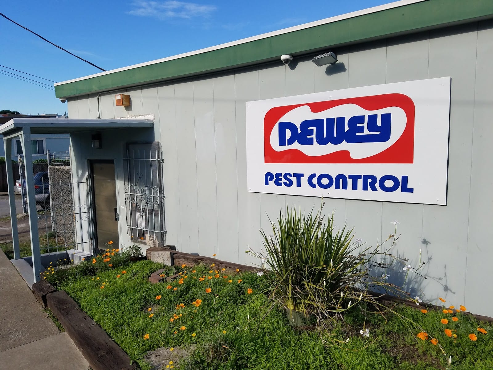 Dewey Pest & Termite Control, photo 3