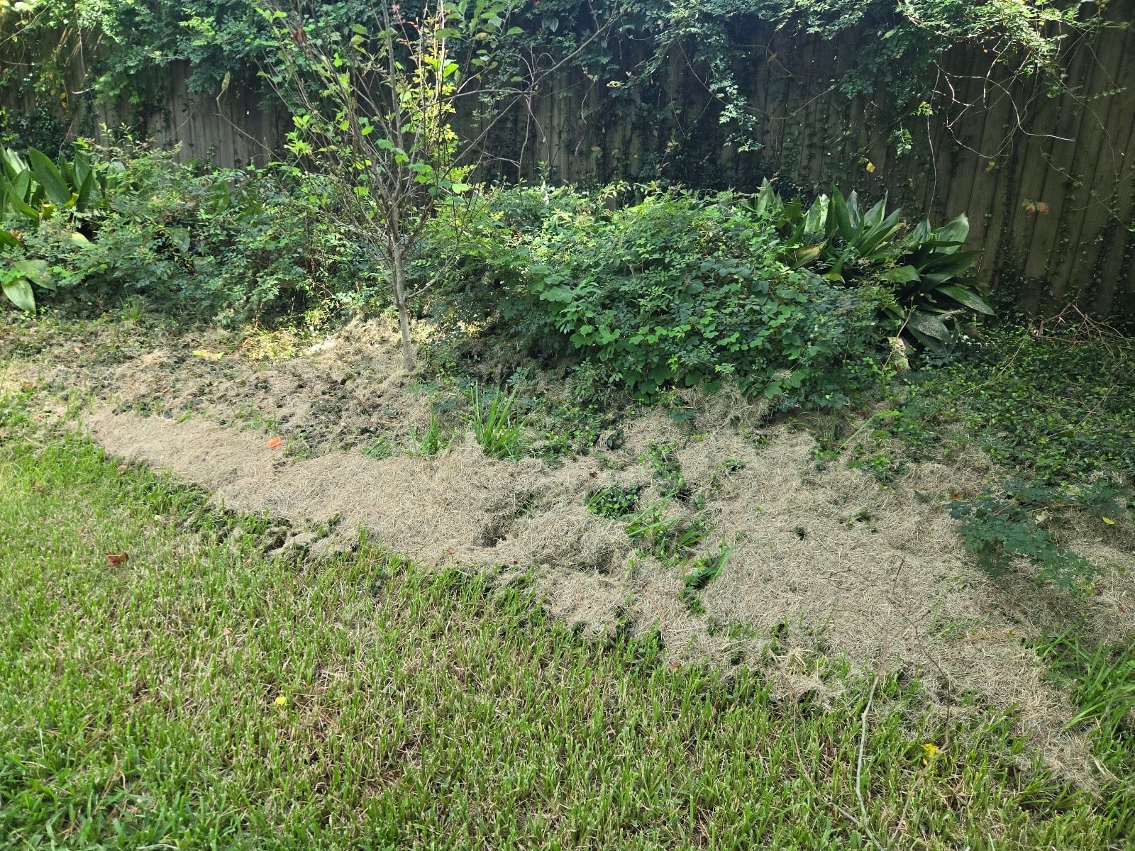 Cousins Lawn Care, photo 2