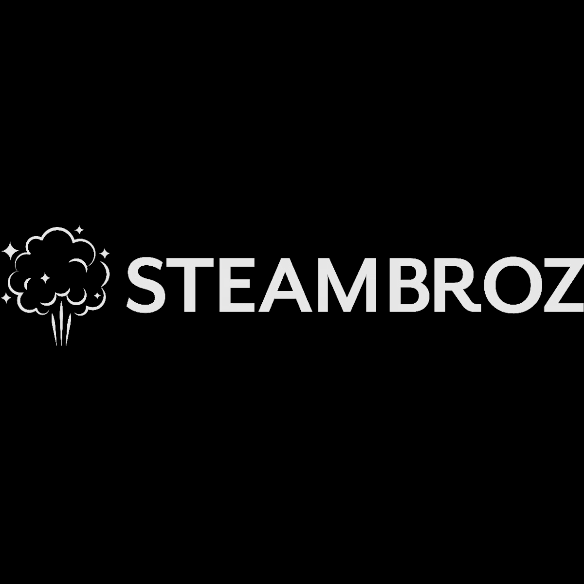 SteamBroz Steam Cleaning & Protection, photo 2