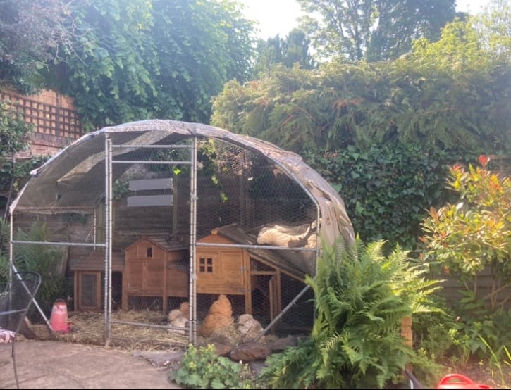 Norfolk Trusted Trader, photo 4