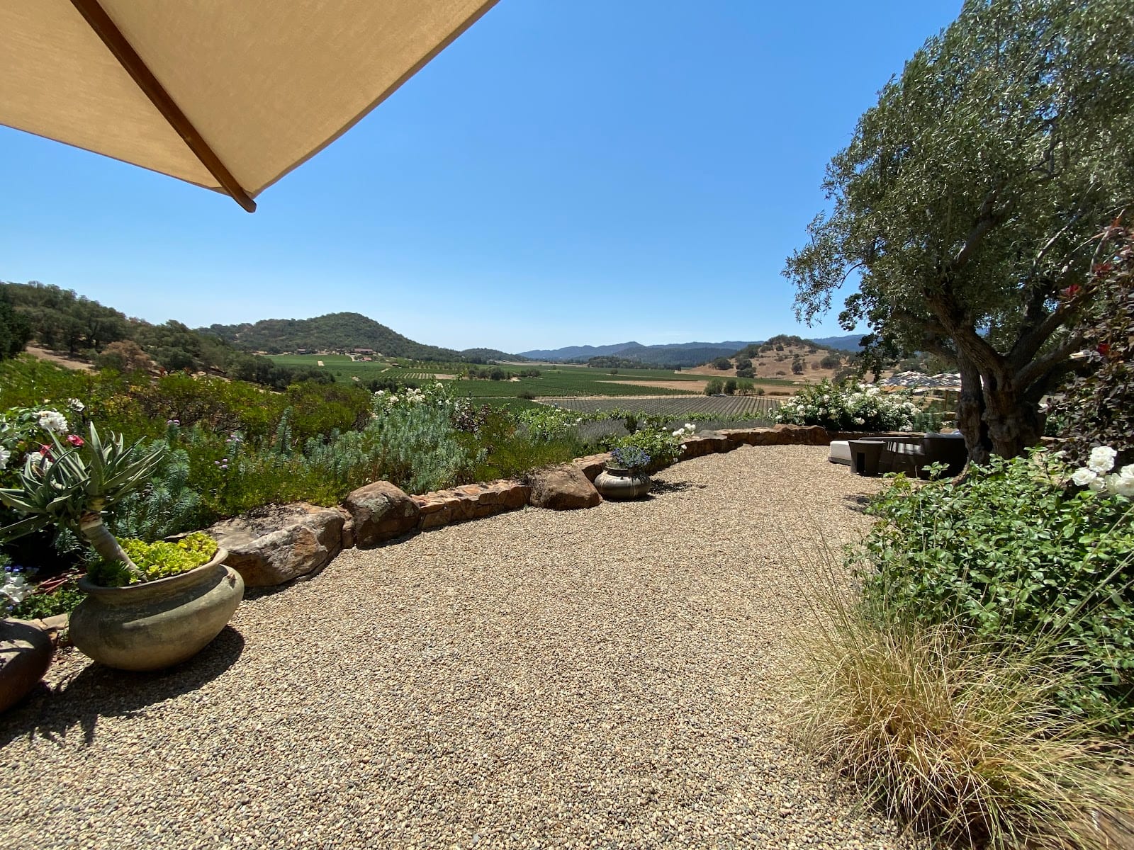 Gargiulo Vineyards