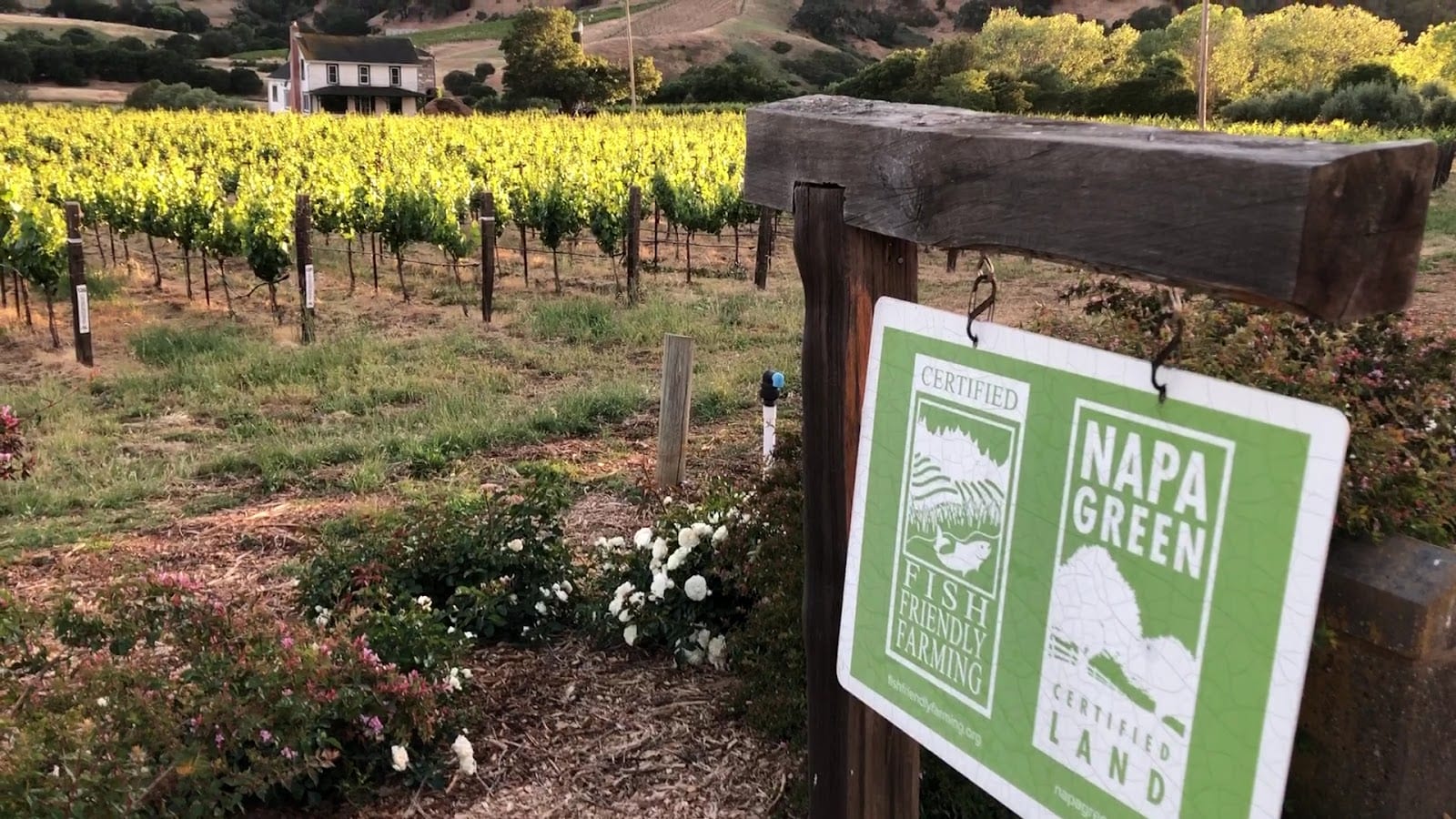 Artesa Vineyards & Winery, photo 3