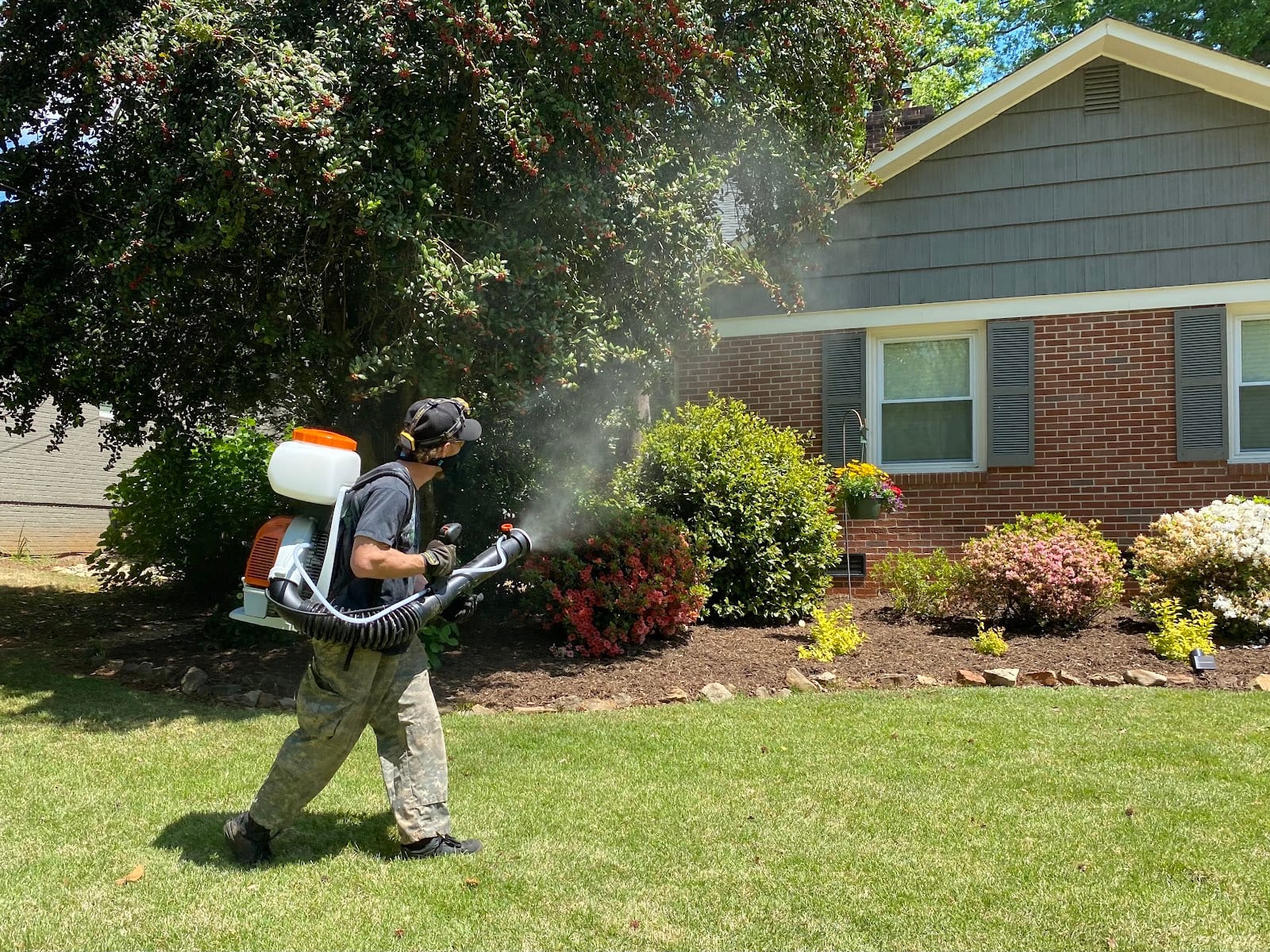 Mosquito Hawk Pest Control, photo 2