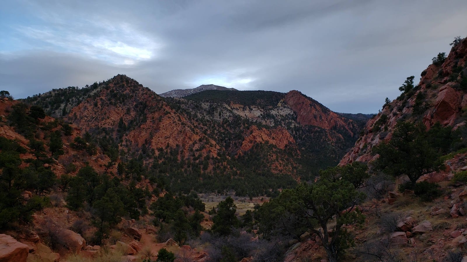 Razorback Trailhead