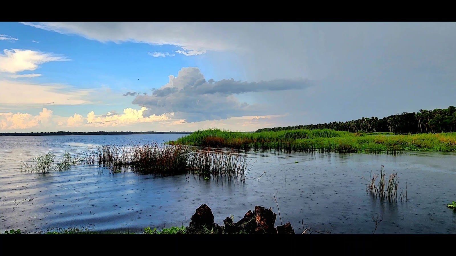 Myakka River State Park Big Flats Campground, photo 2