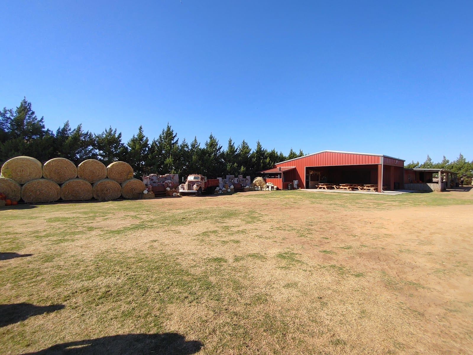 Corn maze