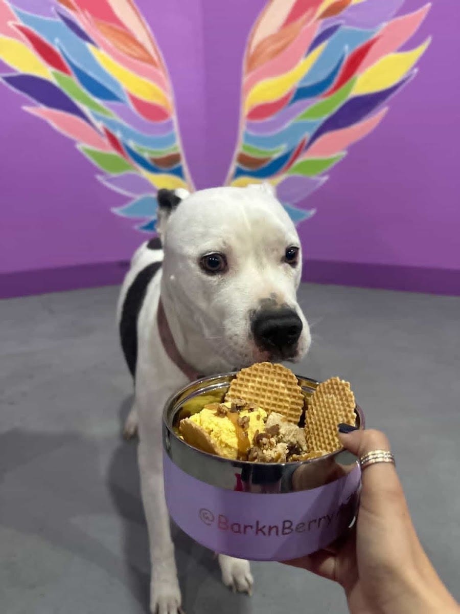 BARK 'N BERRY, photo 4