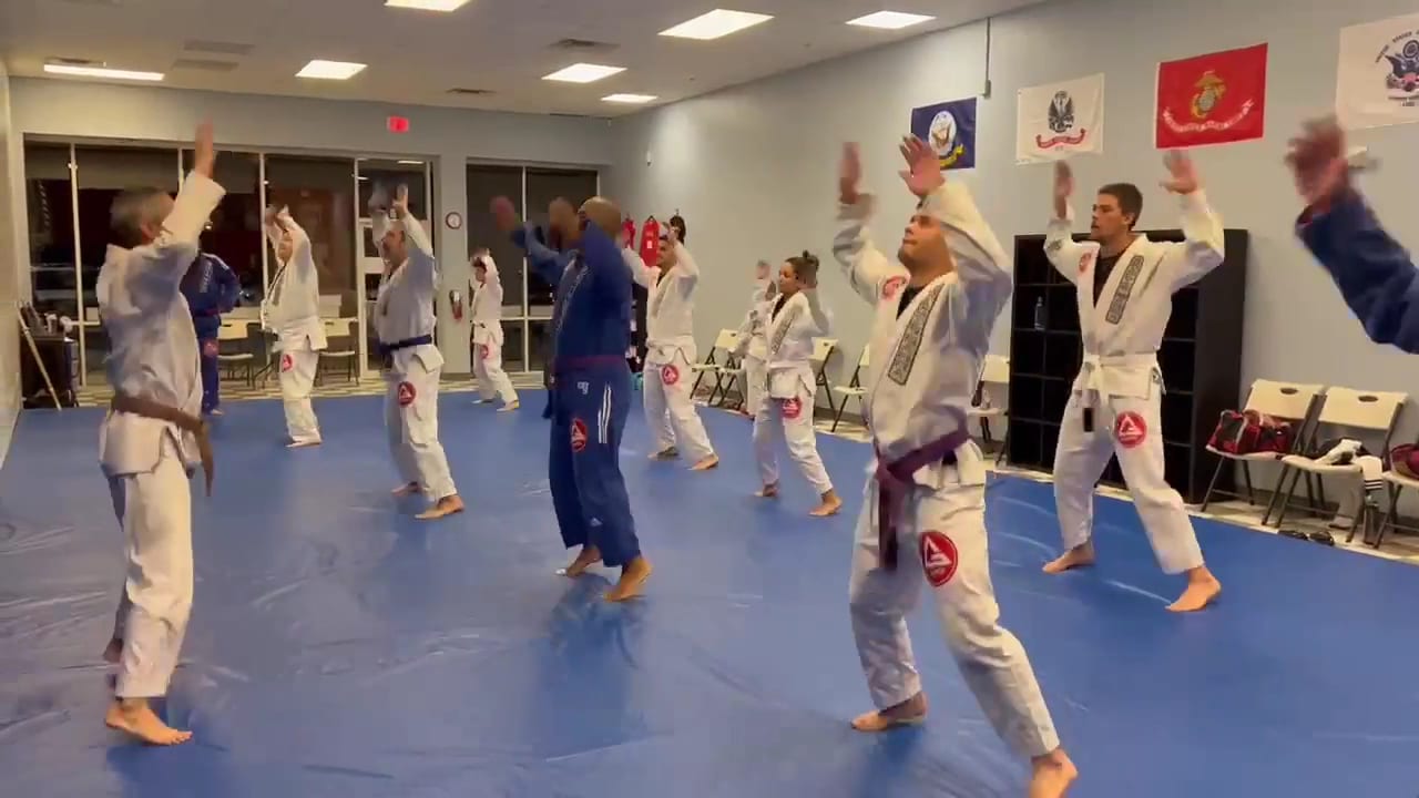 Gracie Barra Fleming Island, photo 3