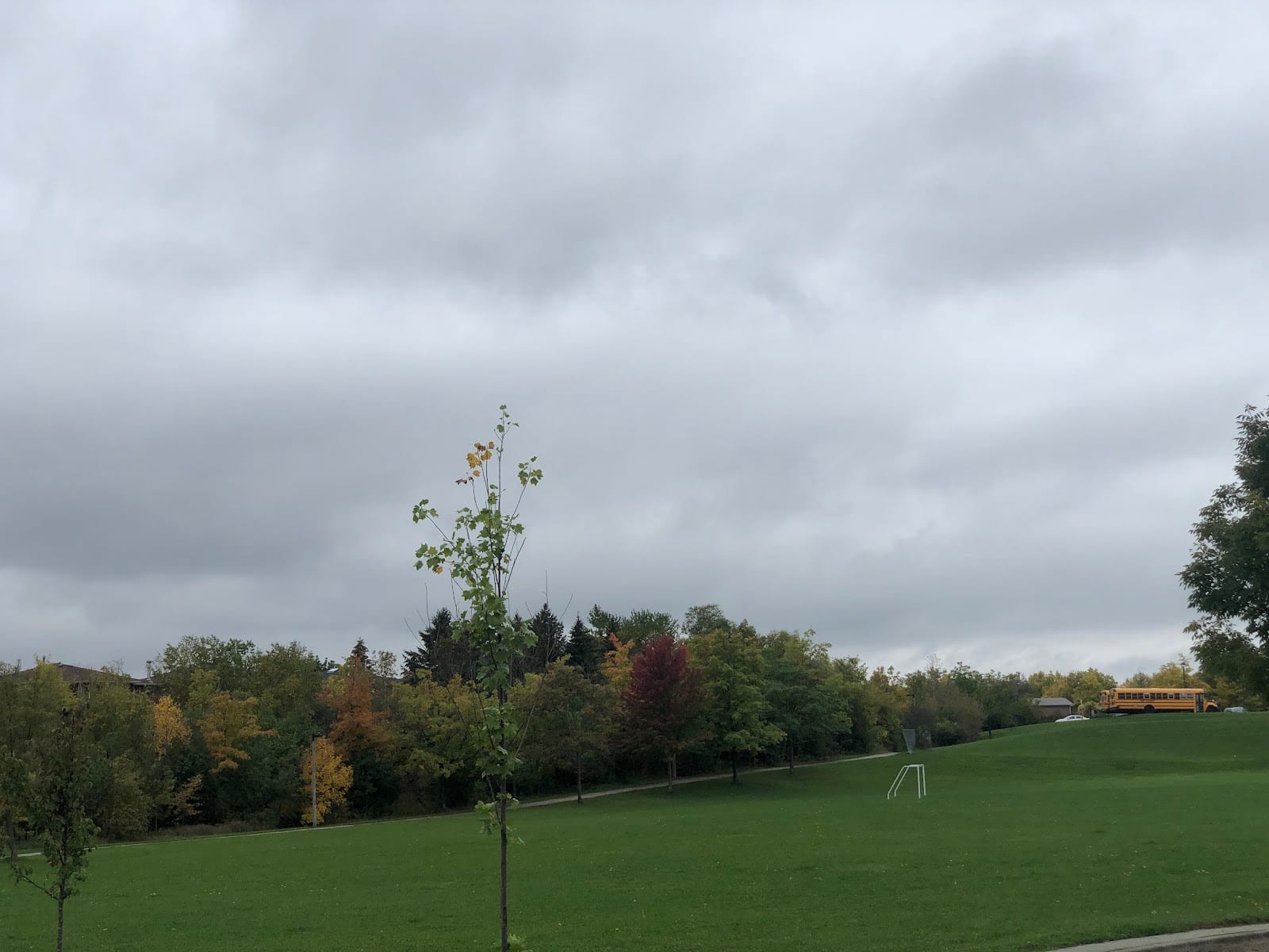 Dove Park, photo 3