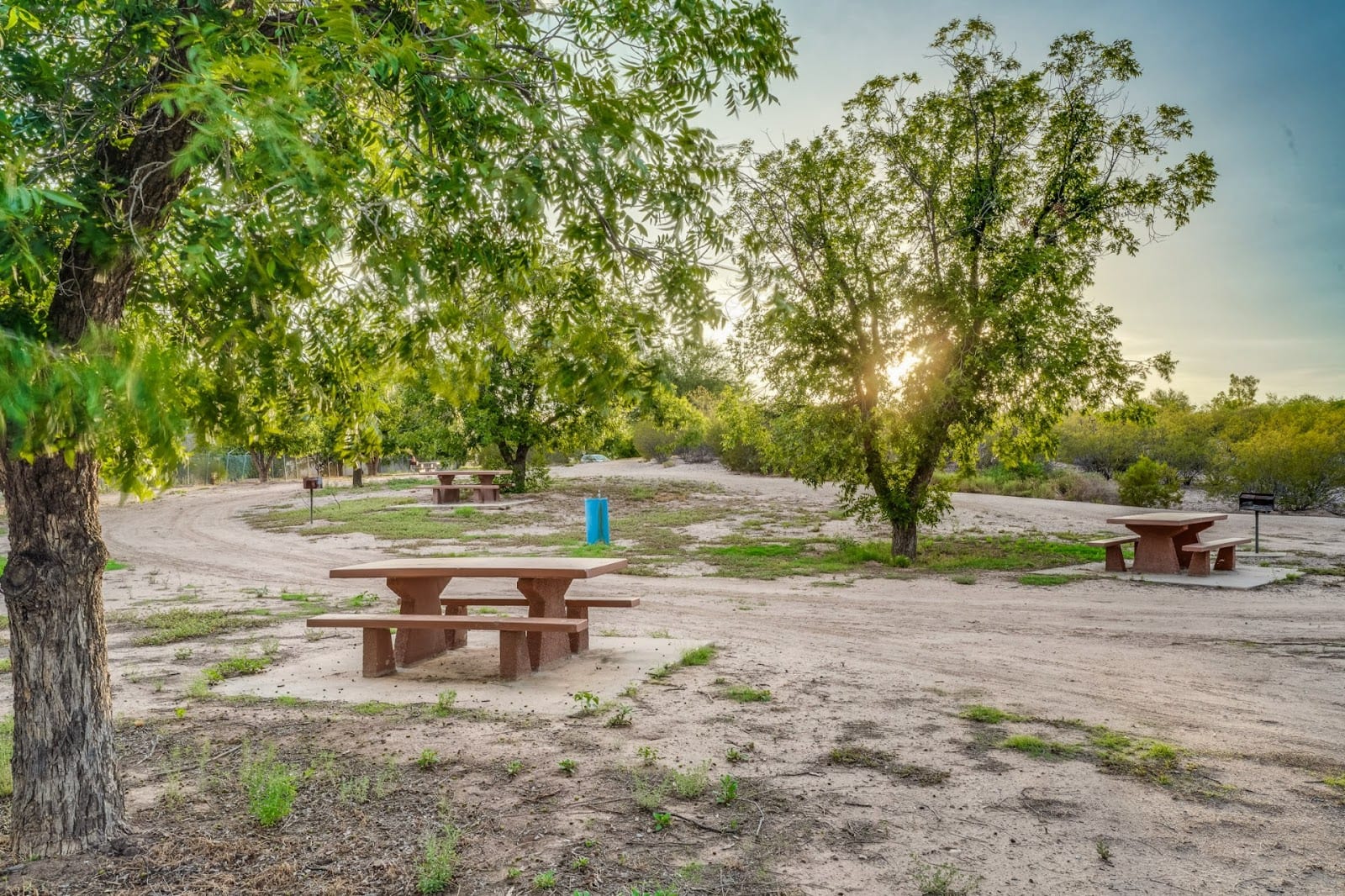 Fort Lowell Park Orchard