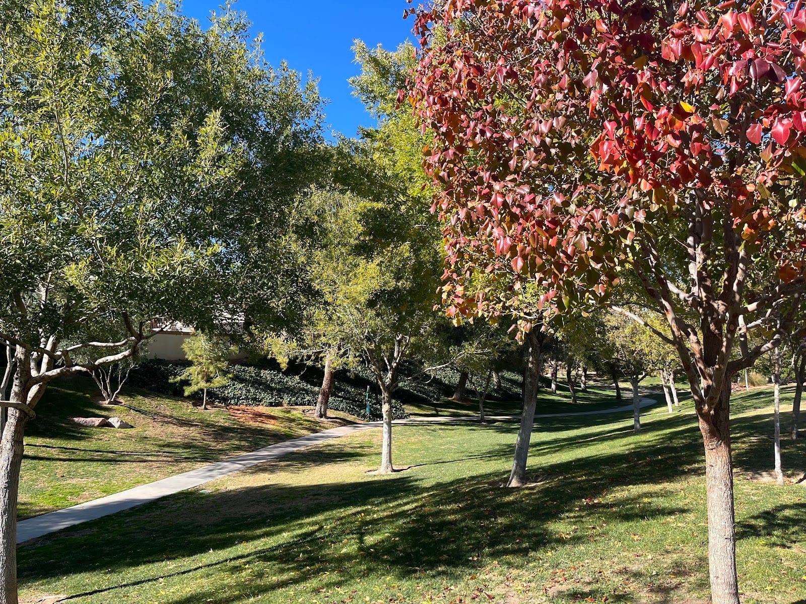 Peccole Ranch Trail