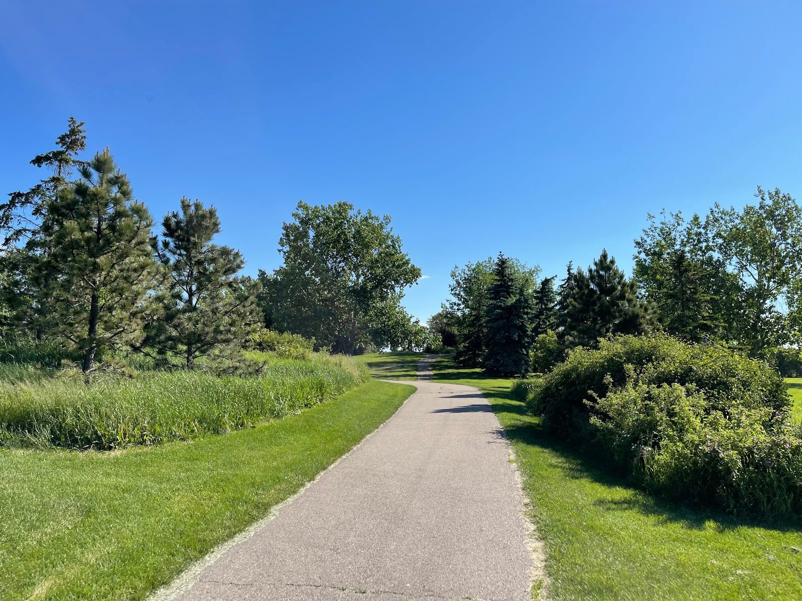 Ball Lake Park, photo 3