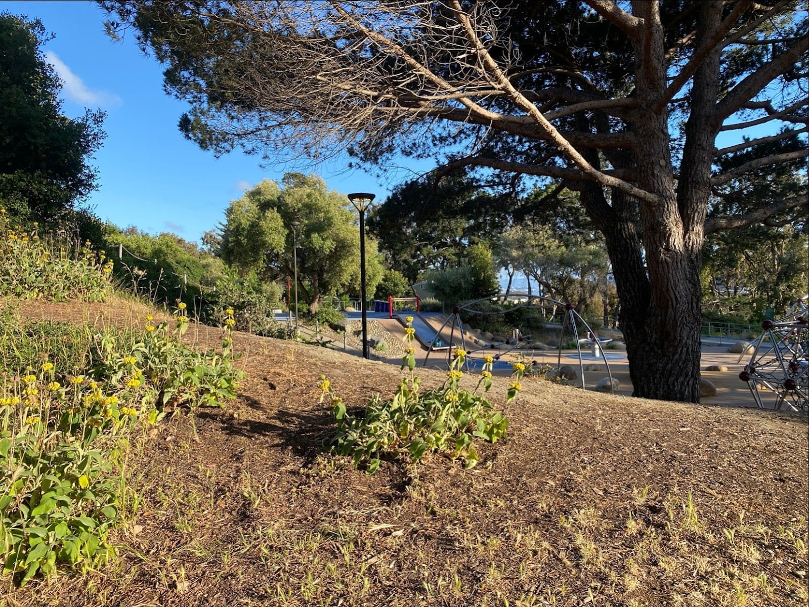 Hilltop Playground