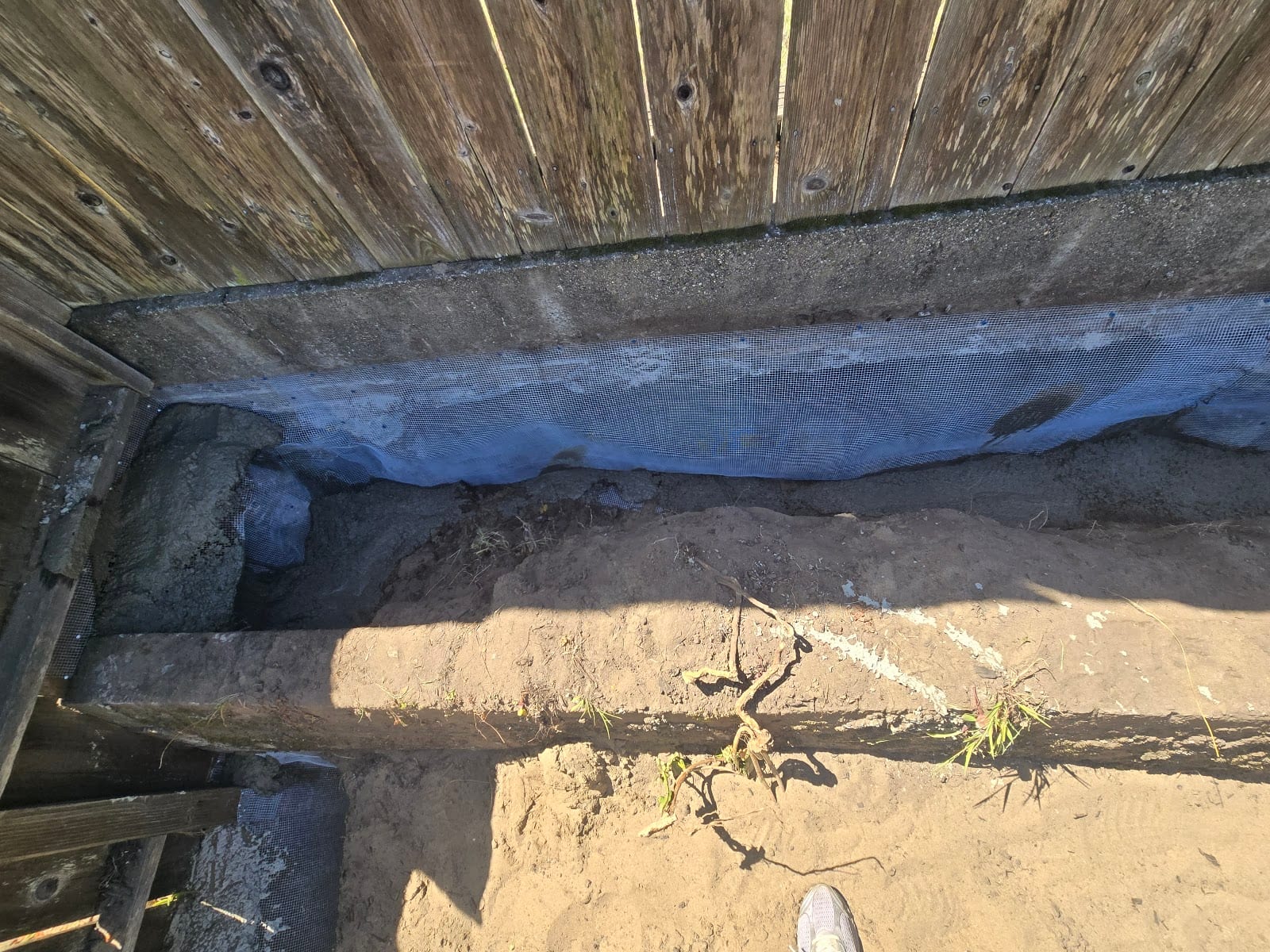 Golden Gate Rat N Rodent, photo 2