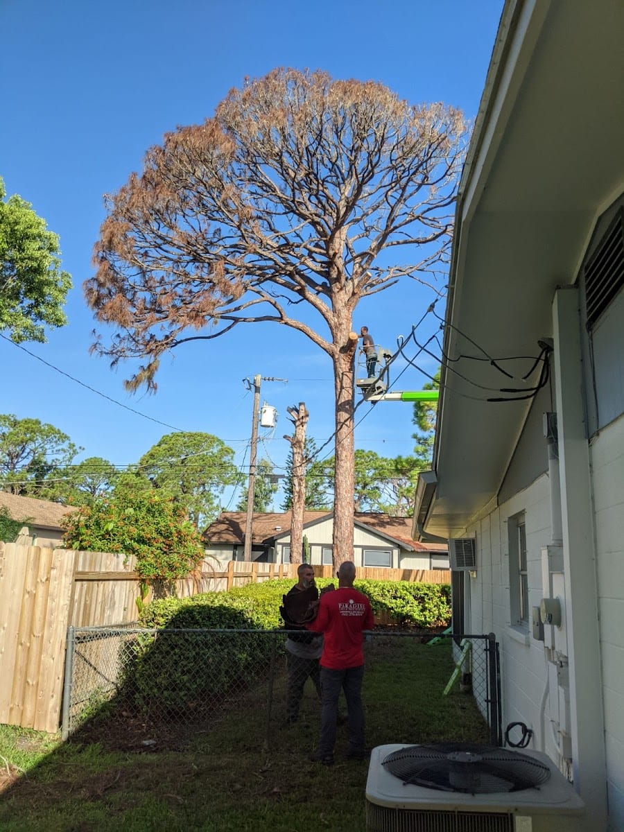 Paradise Lawn And Tree Service, Inc