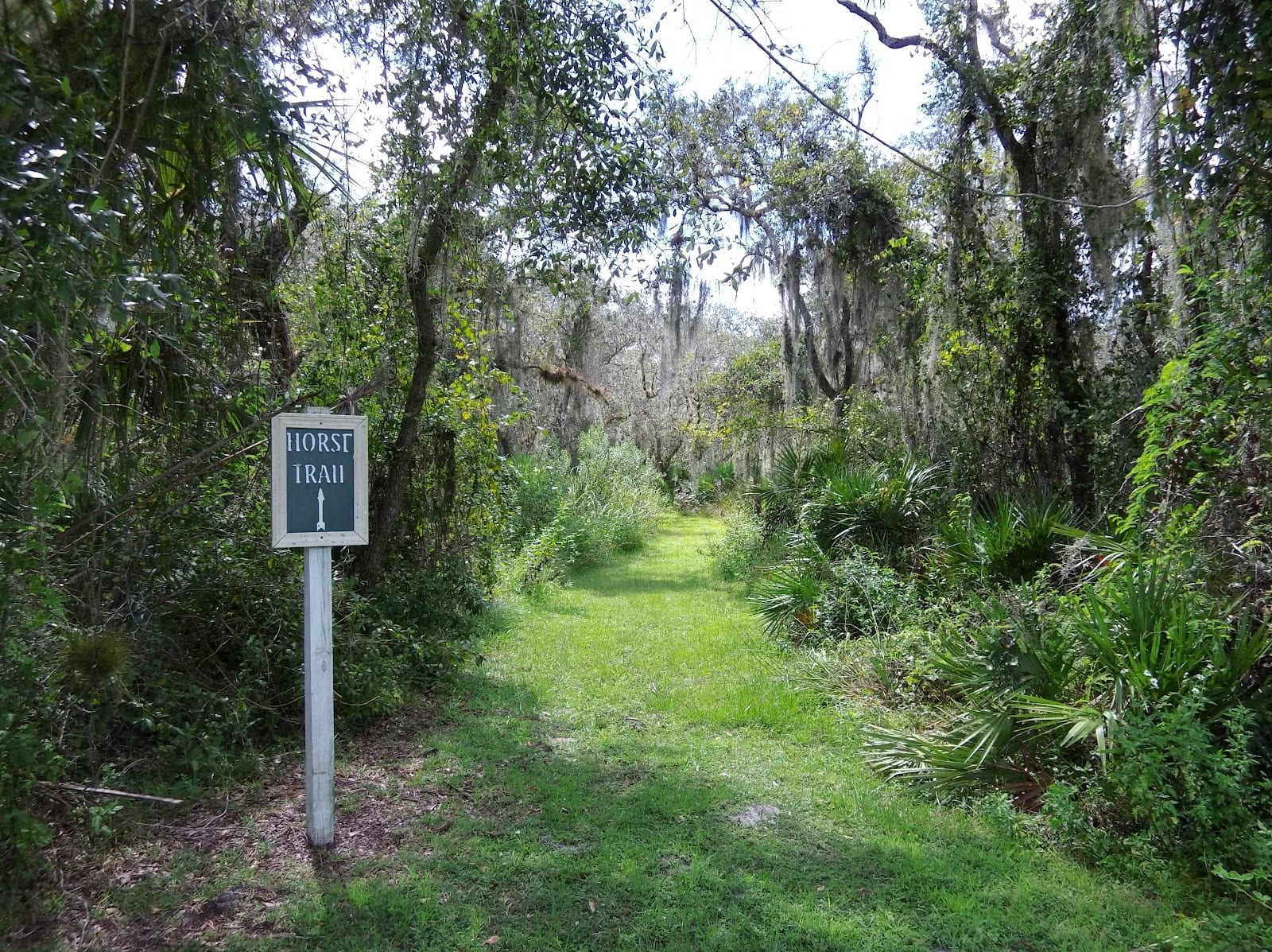 Hathaway Park, photo 3