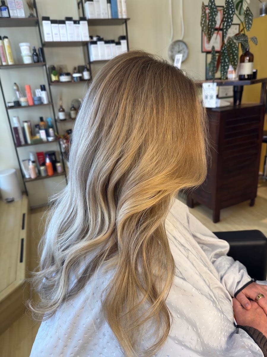 Tulip Salon