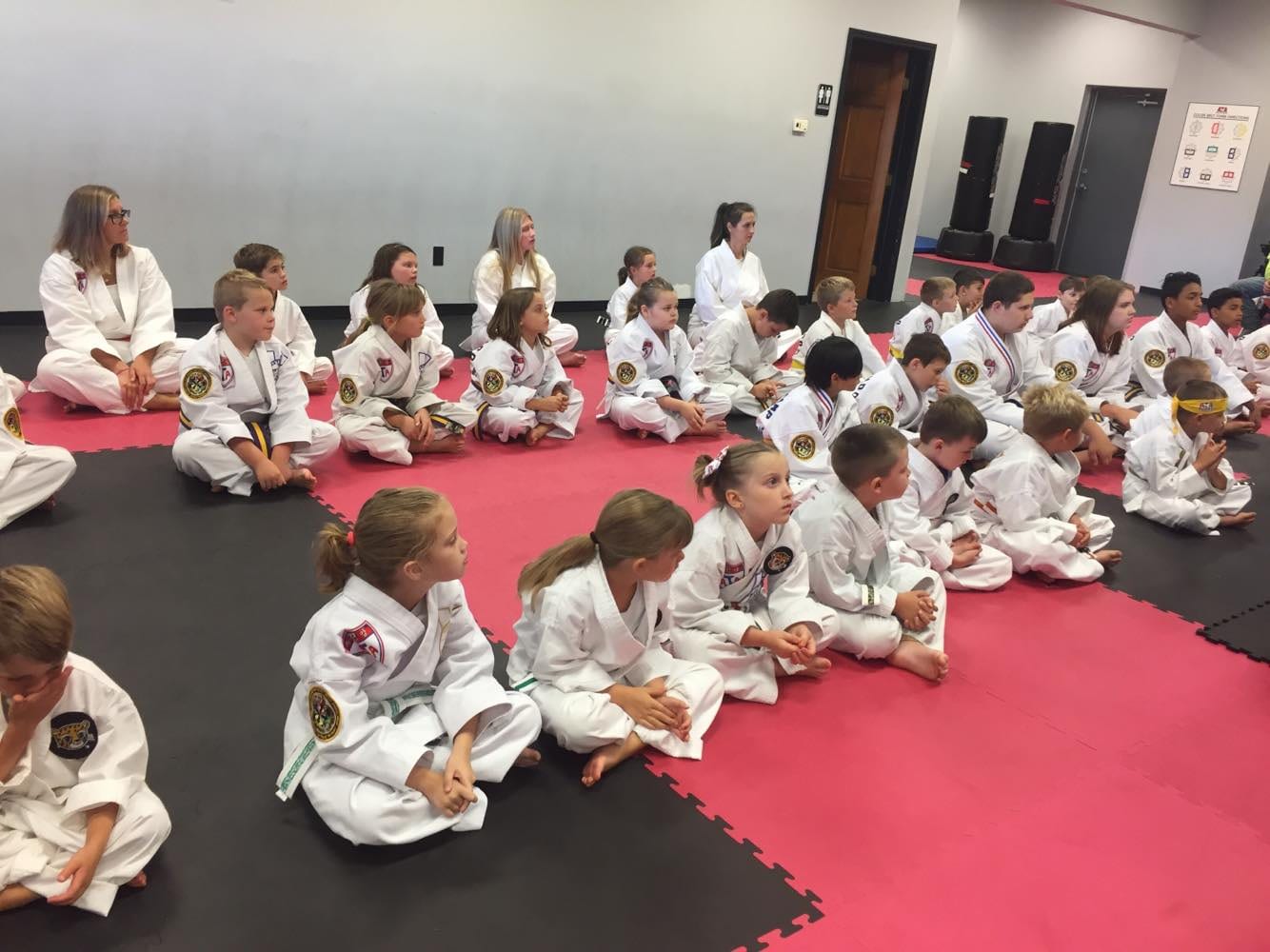 Dupont Taekwondo, photo 3
